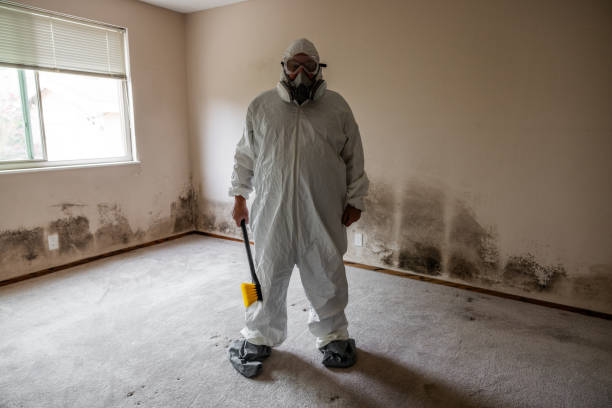 Best Crawl Space Mold Removal  in Minturn, CO